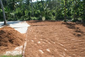 fibre de coco séchée peat de coco substrat