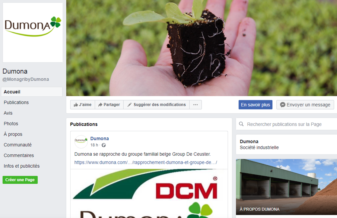 Page Facebook Dumona