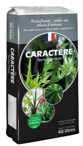 terreau indoor