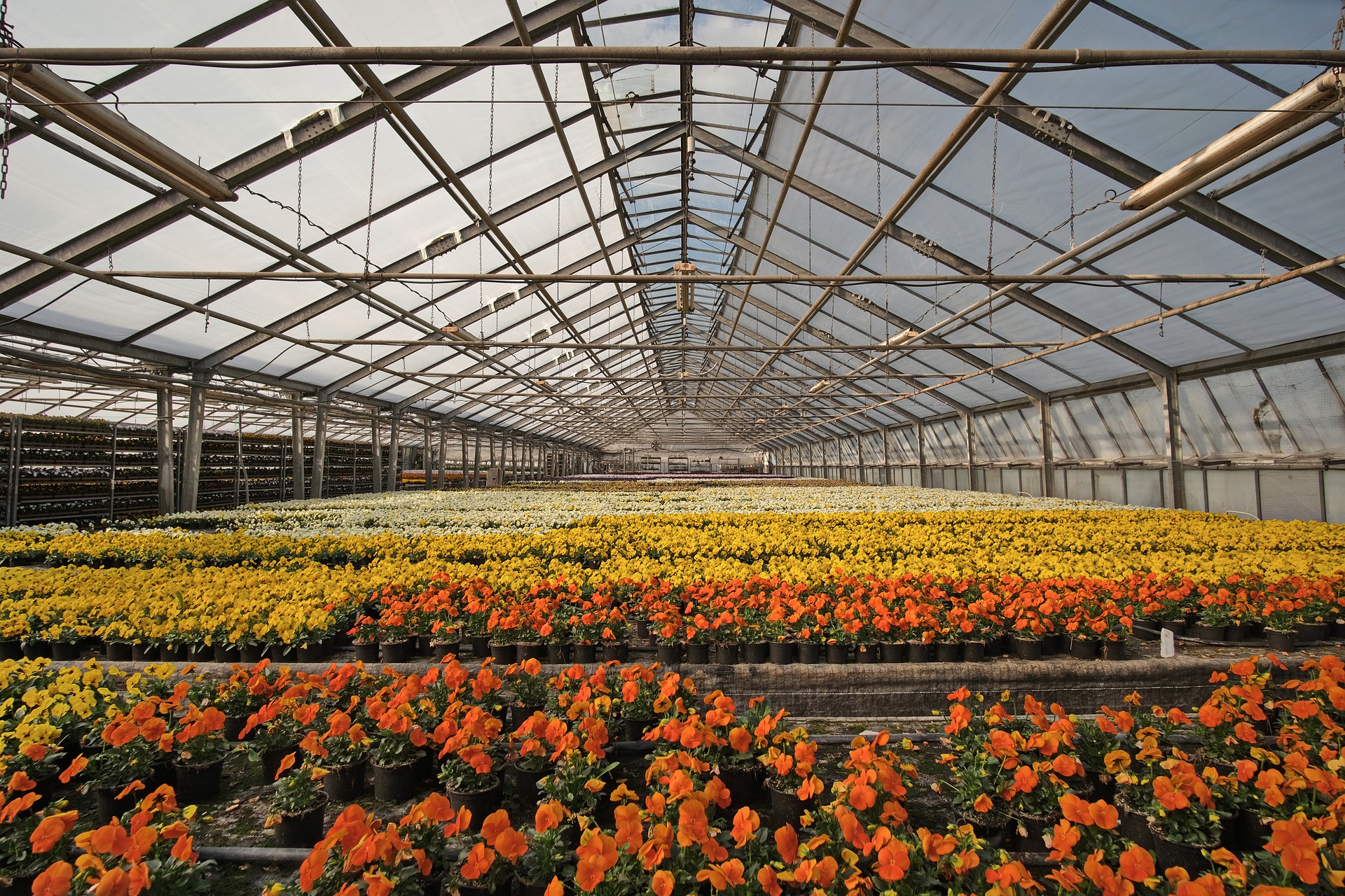 Dumona soutient les horticulteurs en cette période de confinement